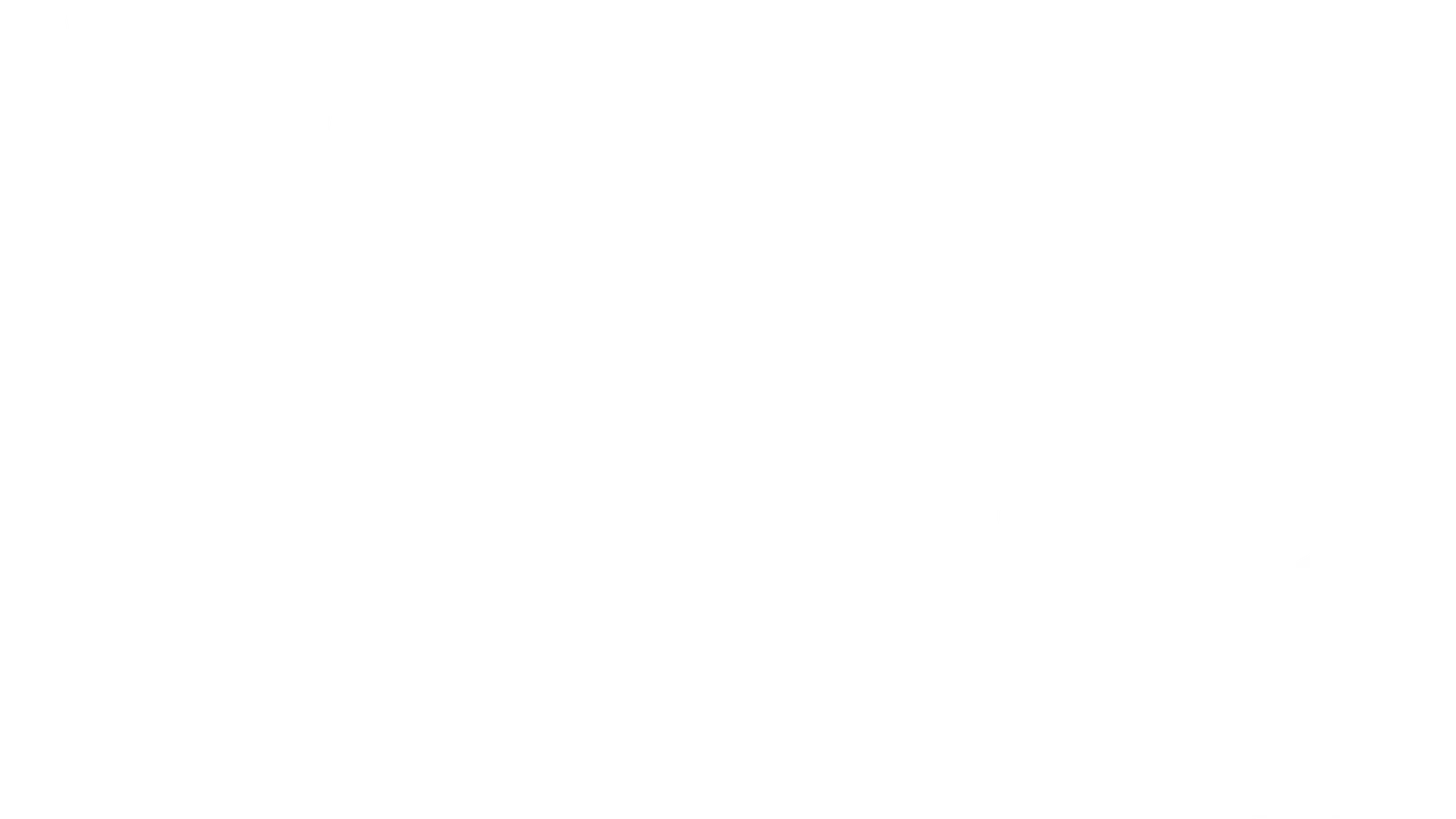 Vlny